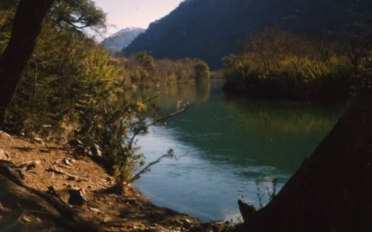35 has en Cholila con costa de Río Tigre