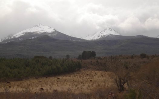 Campo de 219 ha en La Aldea, Trevelin