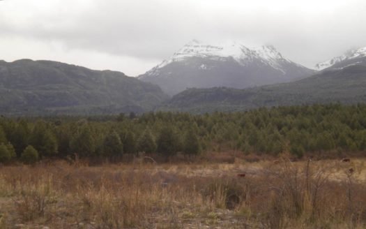 Campo de 219 ha en La Aldea, Trevelin