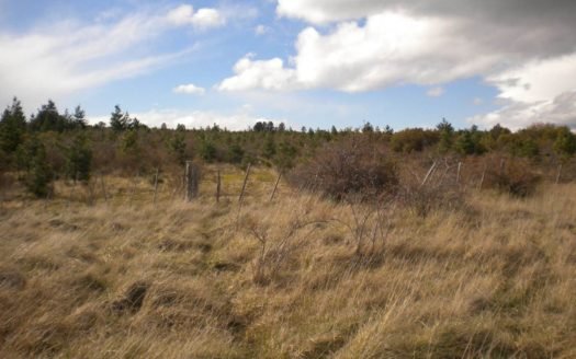 Campo de 219 ha en La Aldea, Trevelin