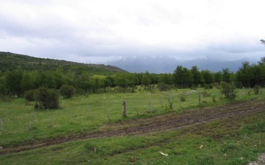 Chacra de 10 has en Corcovado