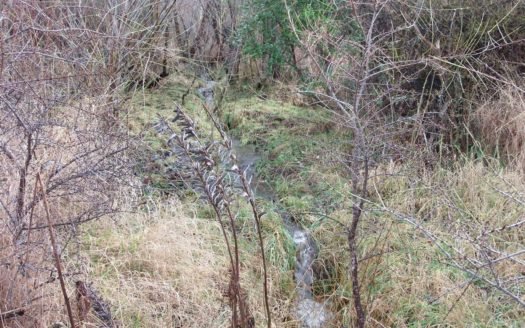 Chacra en callejón Williams, Trevelin