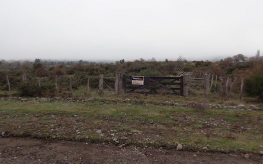 6 ha en zona de Los Cipreses – Costa de Río Grande