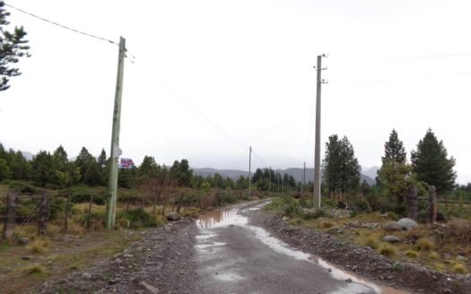 Hectáreas en zona de Los Cipreses