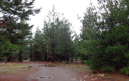 Hectáreas en zona de Los Cipreses