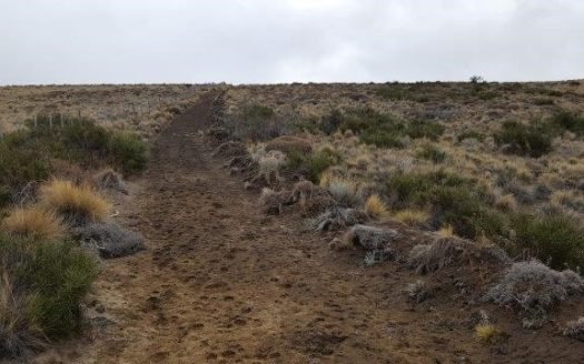 Hectáreas en zona de Esquel
