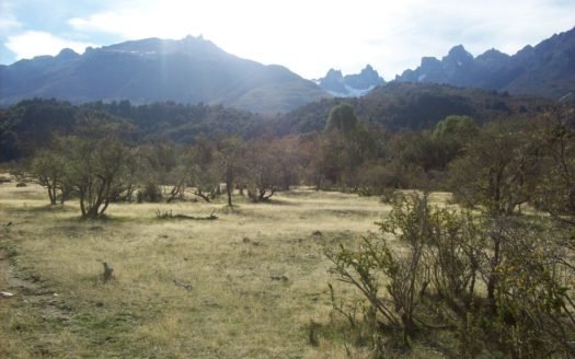 Campo en Cholila – 60 hectareas