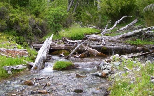 Campo en Trevelin