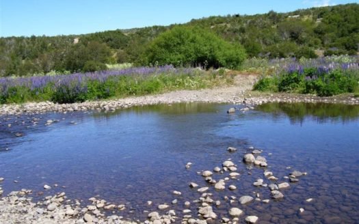 Campo en Trevelin