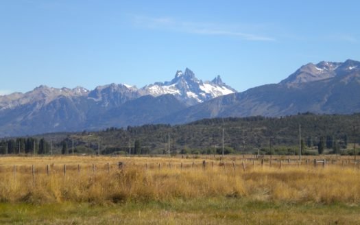 3,84 has en ingreso a Cholila