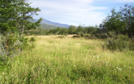 Chacra de 3,25 hectareas en Corcovado