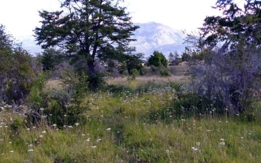 Chacra de 3,25 hectareas en Corcovado