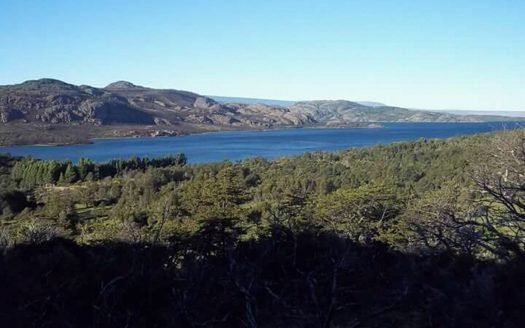 Campo en Rio Pico con costa de lago 1