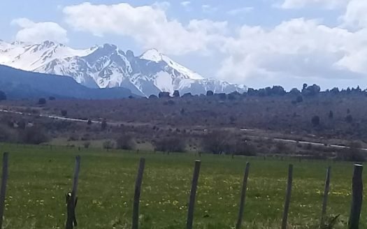 Terrenos de 600m2 en Cholila – USD 10.000