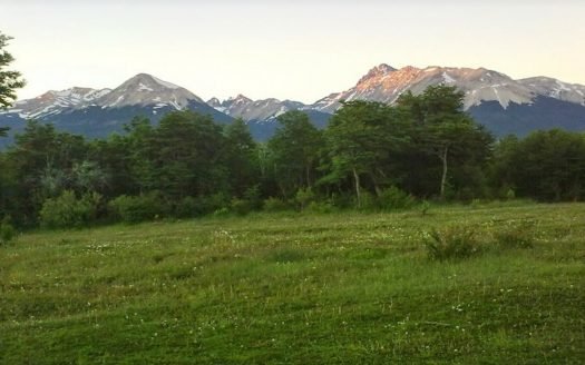 2,8 hectáreas en Aldea Atilio Viglione