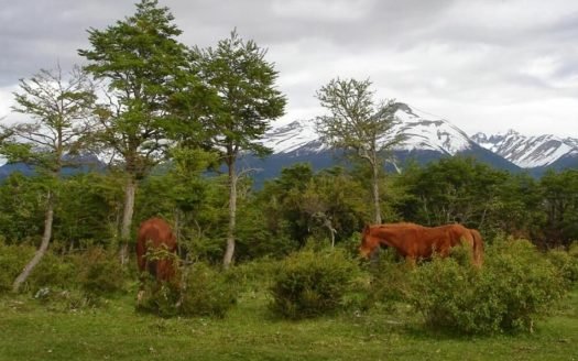 2,8 hectáreas en Aldea Atilio Viglione