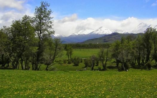 2,8 hectáreas en Aldea Atilio Viglione