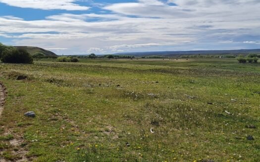 46 HECTAREAS EN RIO PICO