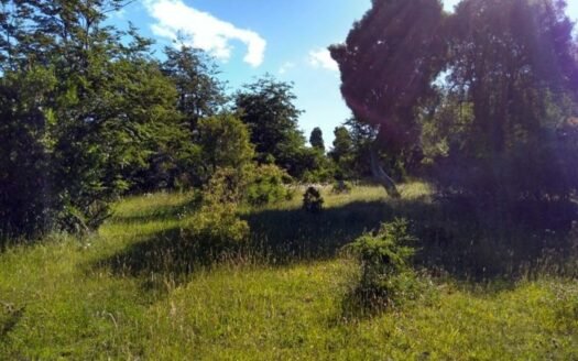 Chacra de 3,7 hectáreas en Corcovado