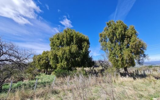 Hectárea entre Esquel y Trevelin