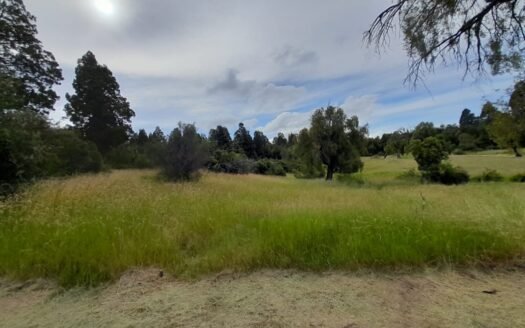 Hectárea en loteo en laguna Brychan en Trevelin