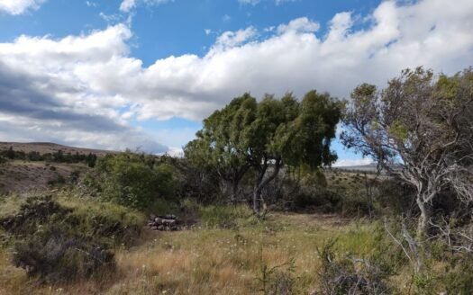Hectárea en Callejón «El Cóndor» en Trevelin