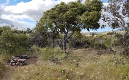 Hectárea en Callejón «El Cóndor» en Trevelin
