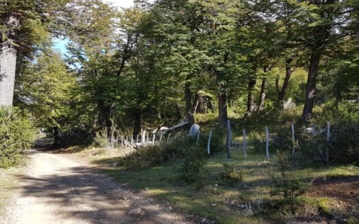 18 Hectáreas en Alto Río Percy