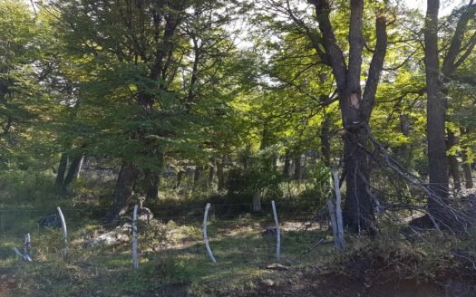 18 Hectáreas en Alto Río Percy