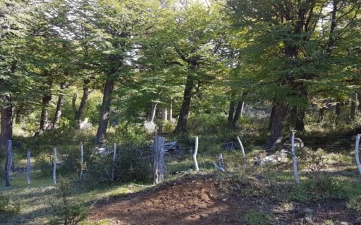 18 Hectáreas en Alto Río Percy