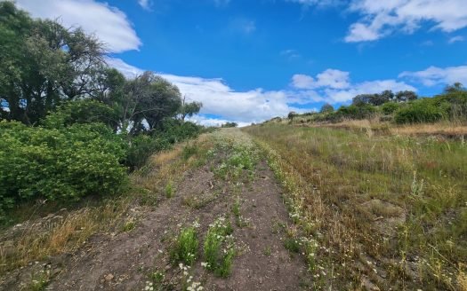 Hectáreas en ruta 259 Trevelin