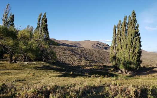 Campo en Piedra Parada