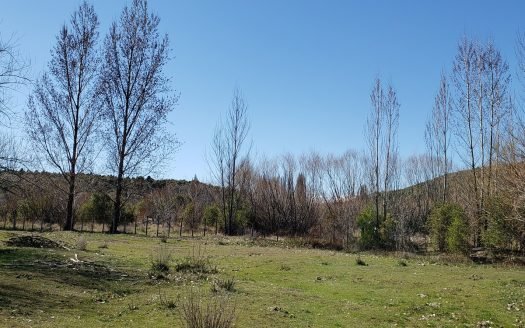 Dos hectáreas con costa de río Percy Trevelin