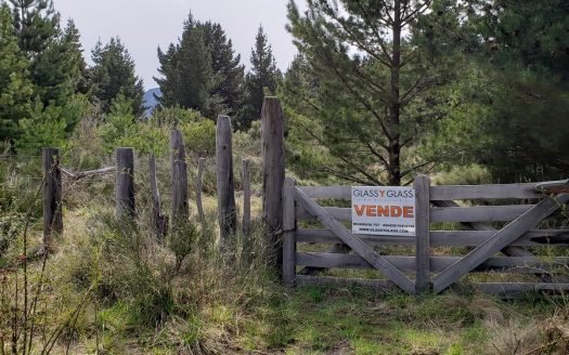 Hectárea en Los Cipreses