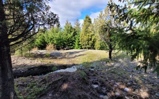 Hectárea en callejón Williams