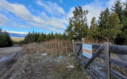 Hectárea en callejón Williams
