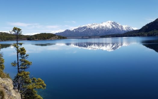 2,5ha en Cholila con costa de lago Lezana