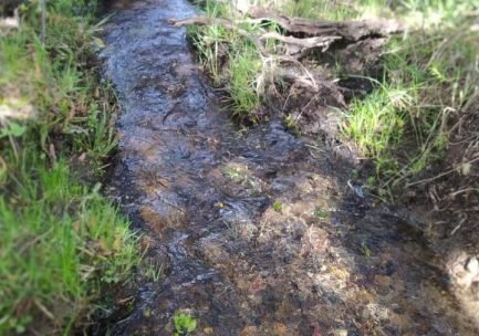 50ha de campo en Trevelin