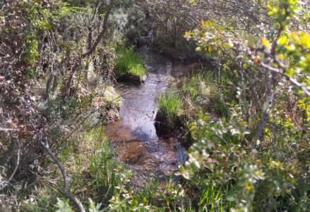 50ha de campo en Trevelin