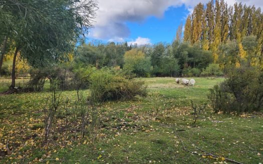 Hectárea en Los Cipreses