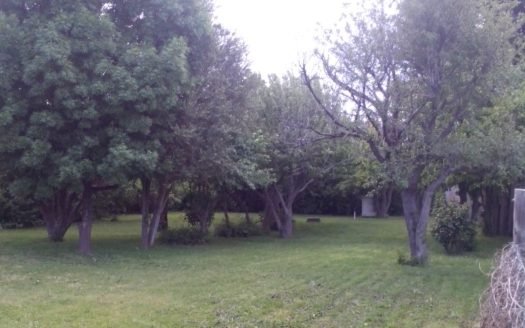 Vivienda con amplio parque en Esquel