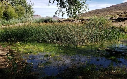 Campo en Piedra Parada