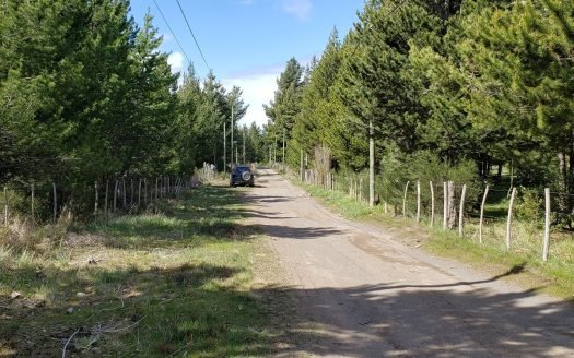 Hectárea en Los Cipreses