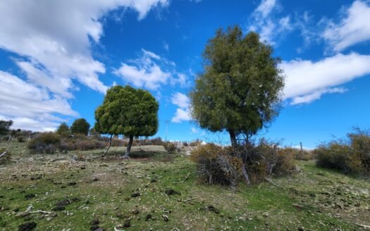 Chacra de 7 hectáreas en Esquel