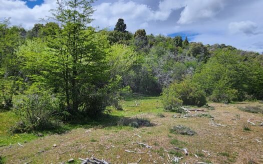 Hectáreas en Lago Rosario