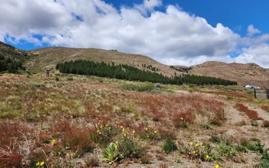Terreno en Esquel